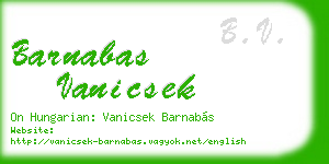 barnabas vanicsek business card